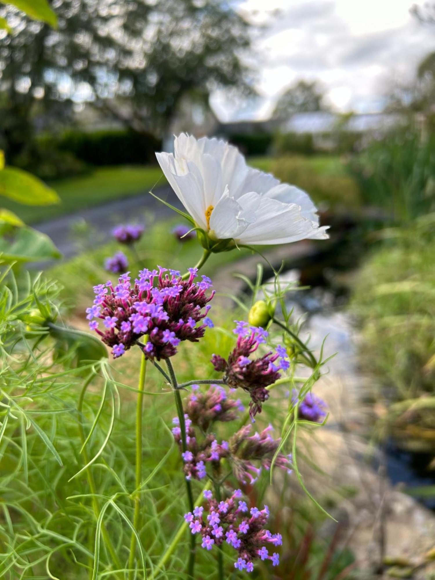 Hazel Manor Guest House Harrogate Bagian luar foto
