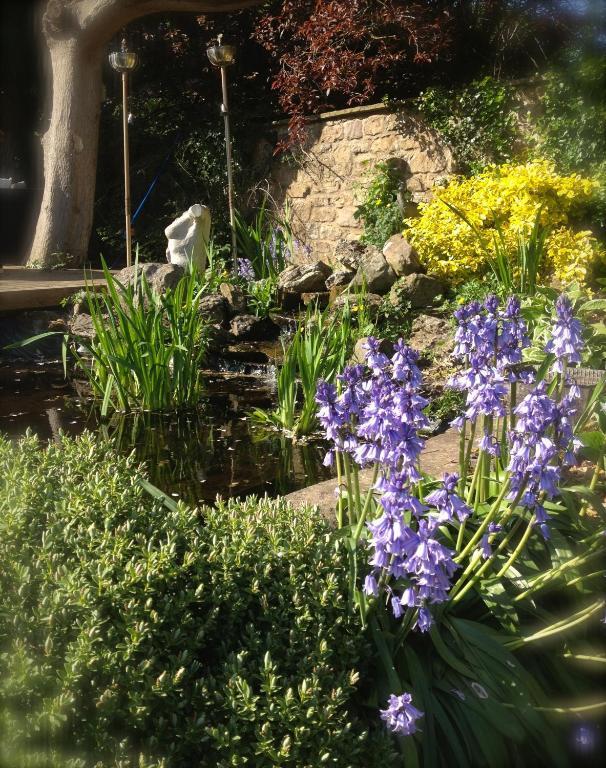 Hazel Manor Guest House Harrogate Bagian luar foto