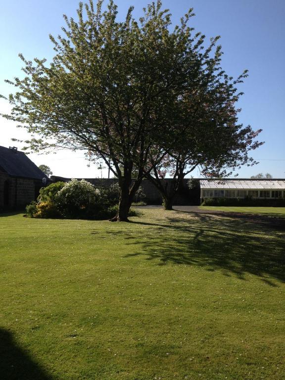 Hazel Manor Guest House Harrogate Bagian luar foto