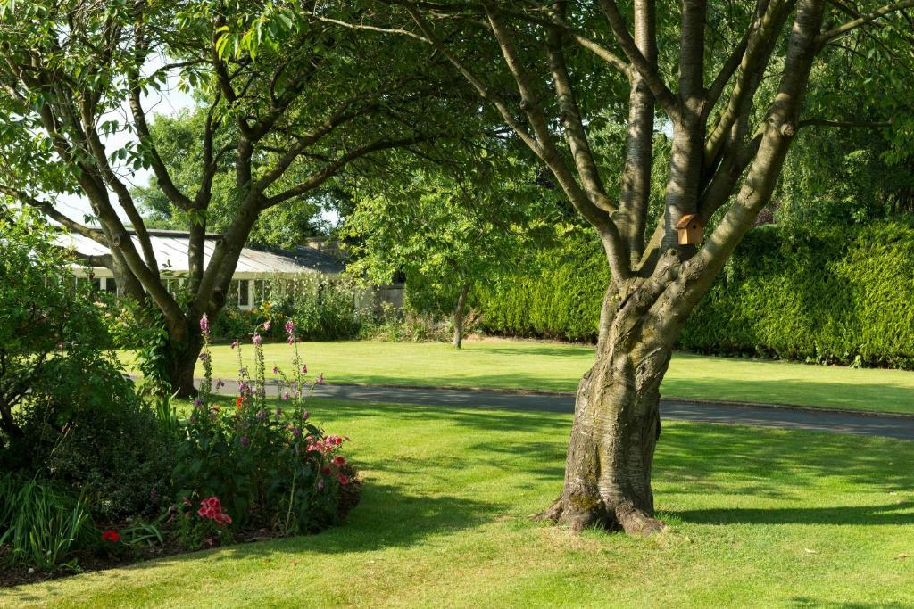 Hazel Manor Guest House Harrogate Bagian luar foto