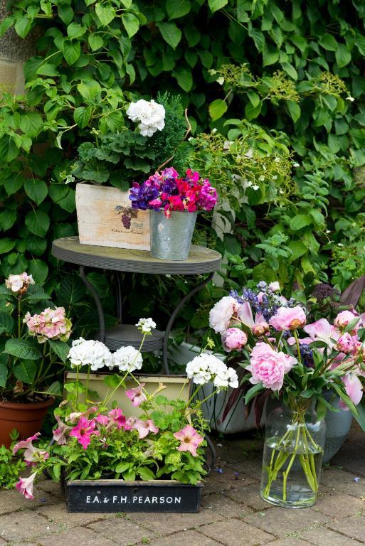 Hazel Manor Guest House Harrogate Bagian luar foto