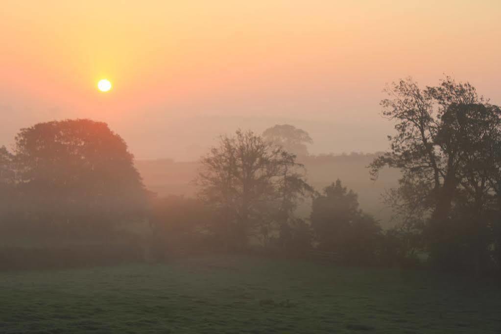 Hazel Manor Guest House Harrogate Bagian luar foto